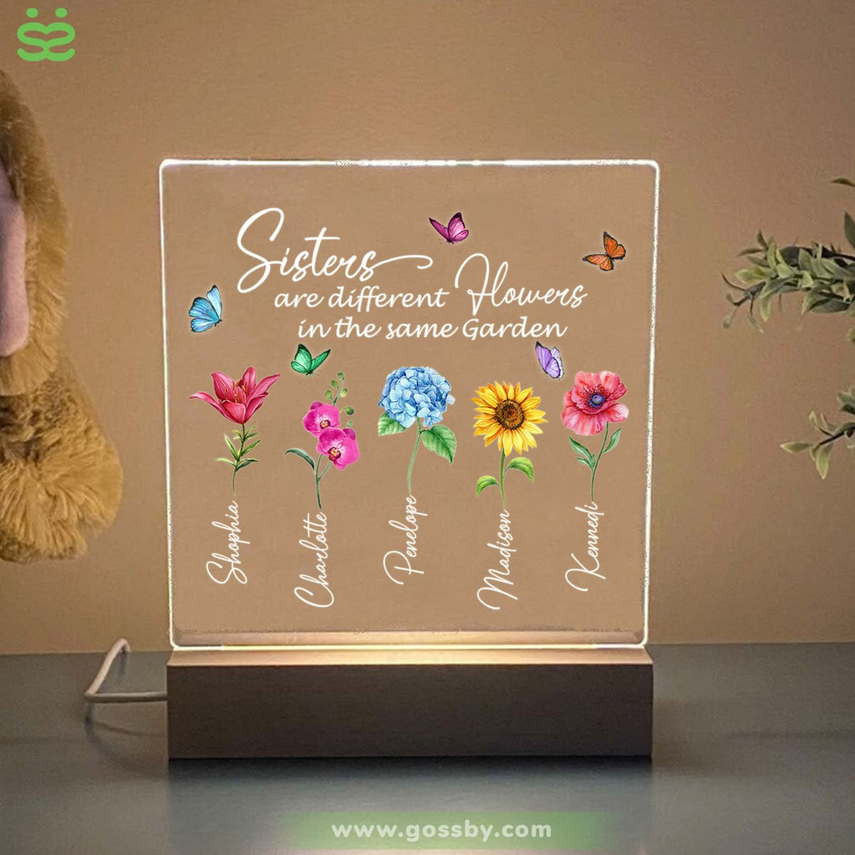 Transparent Lamp - Sisters - Sisters are different flowers in the same garden