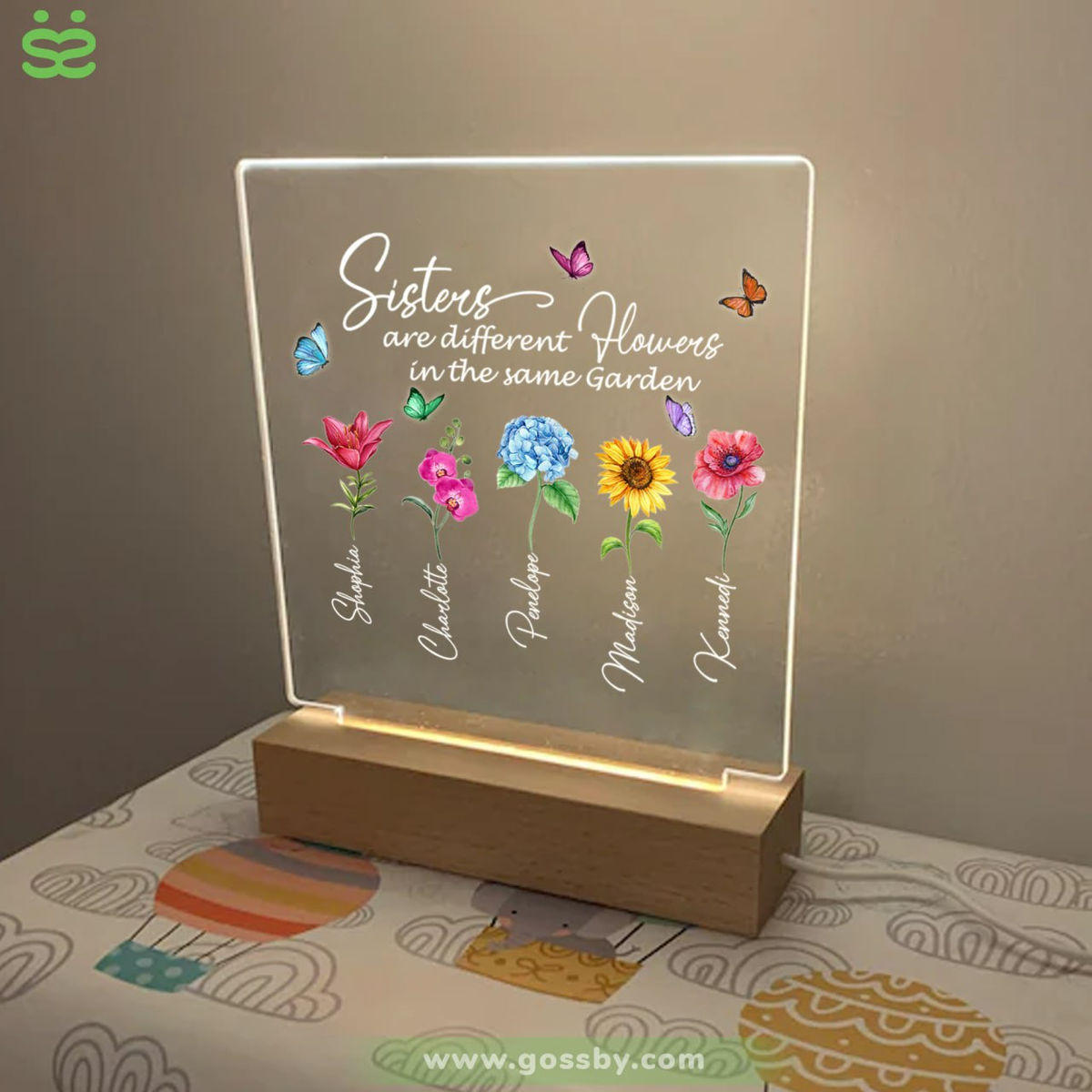 Transparent Lamp - Sisters - Sisters are different flowers in the same garden_2