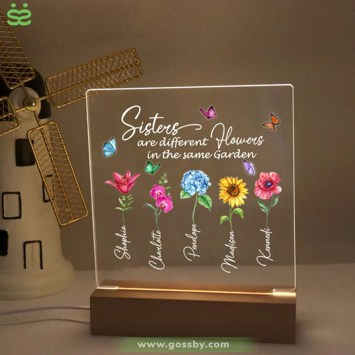 Transparent Lamp - Sisters - Sisters are different flowers in the same garden_1