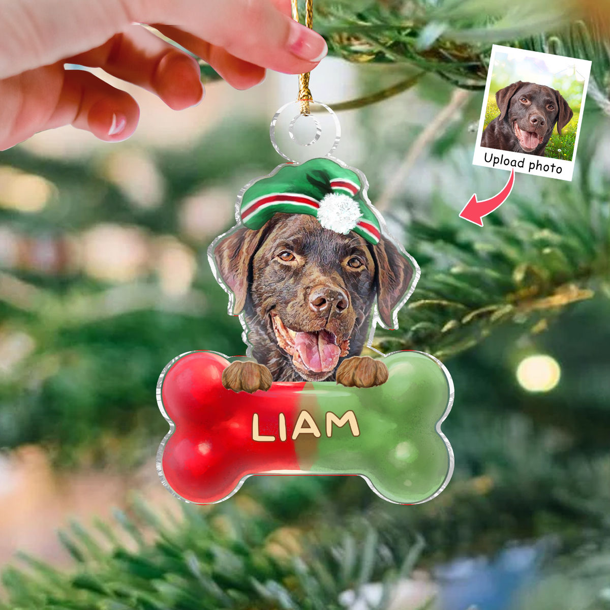 Photo Ornament - Dog Lover Gifts - Christmas Gifts - Dogs Bone Christmas 2024 - Custom Ornament from Photo, Photo Gifts_2