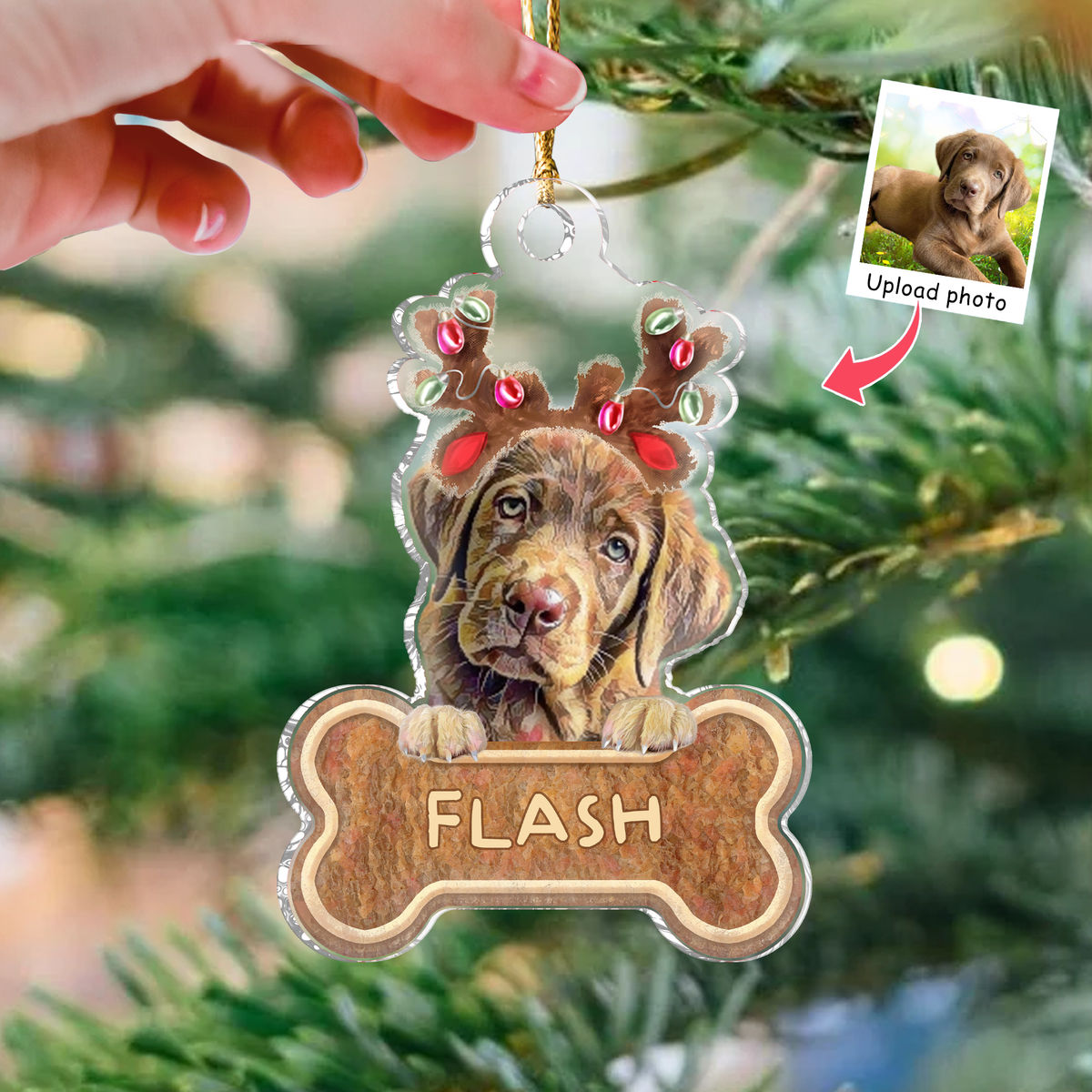 Photo Ornament - Dog Lover Gifts - Christmas Gifts - Dogs Bone Christmas 2024 - Custom Ornament from Photo, Photo Gifts_1