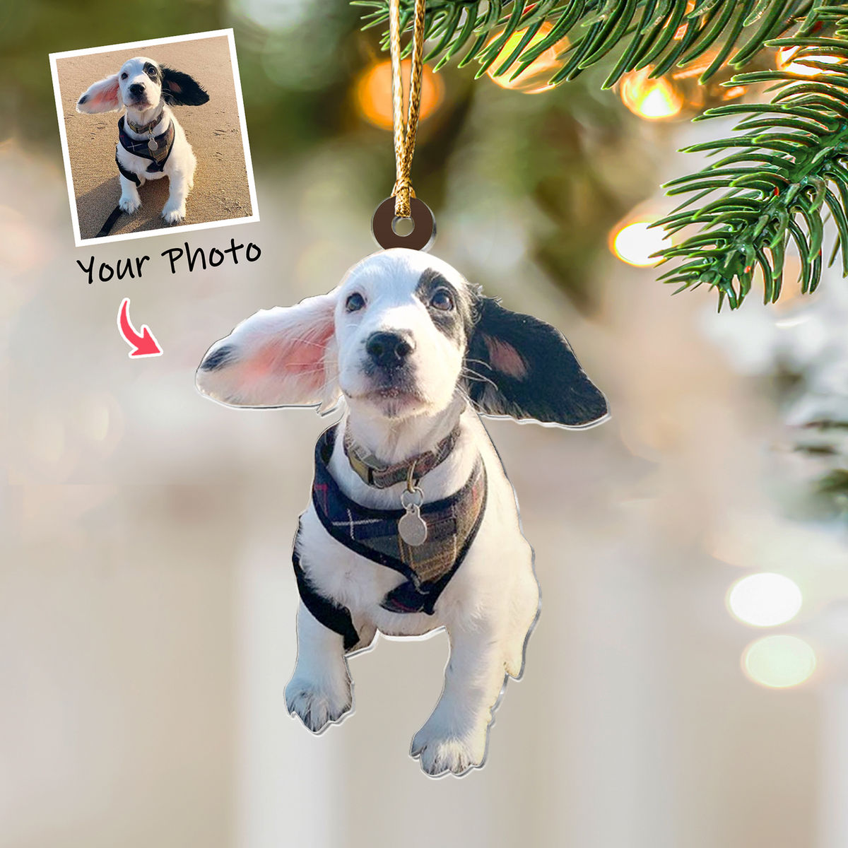 Photo Background Removal - Custom Ornament from Photo - Dog Ornament from Photo - T_3