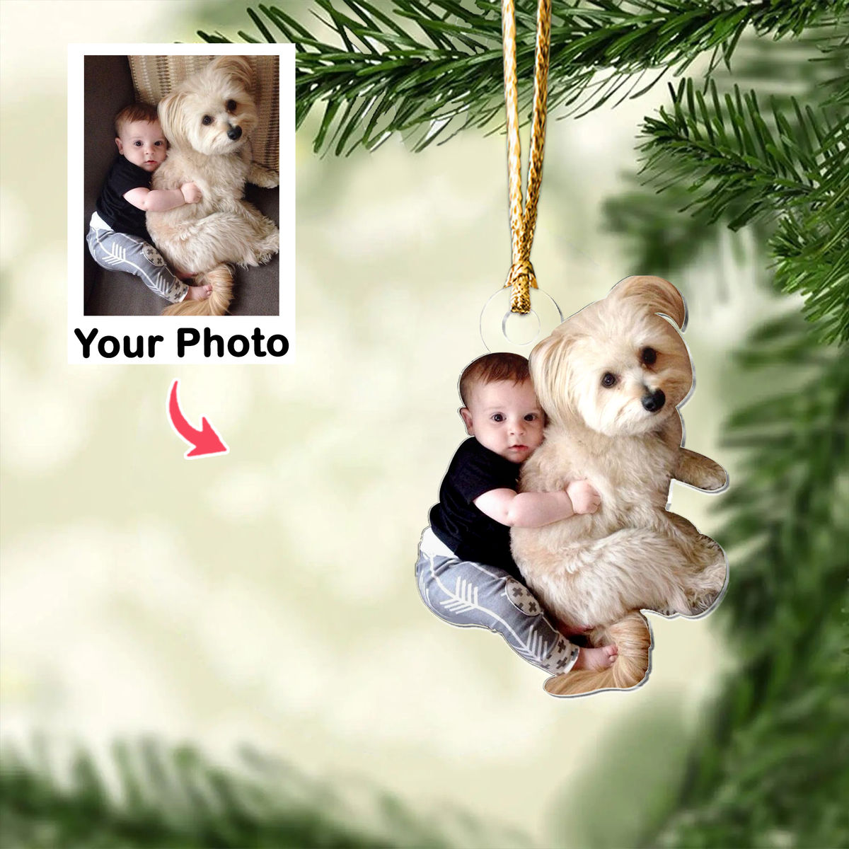 Photo Background Removal - Custom Ornament from Photo - Pet and Baby Ornament from Photo - T2_2