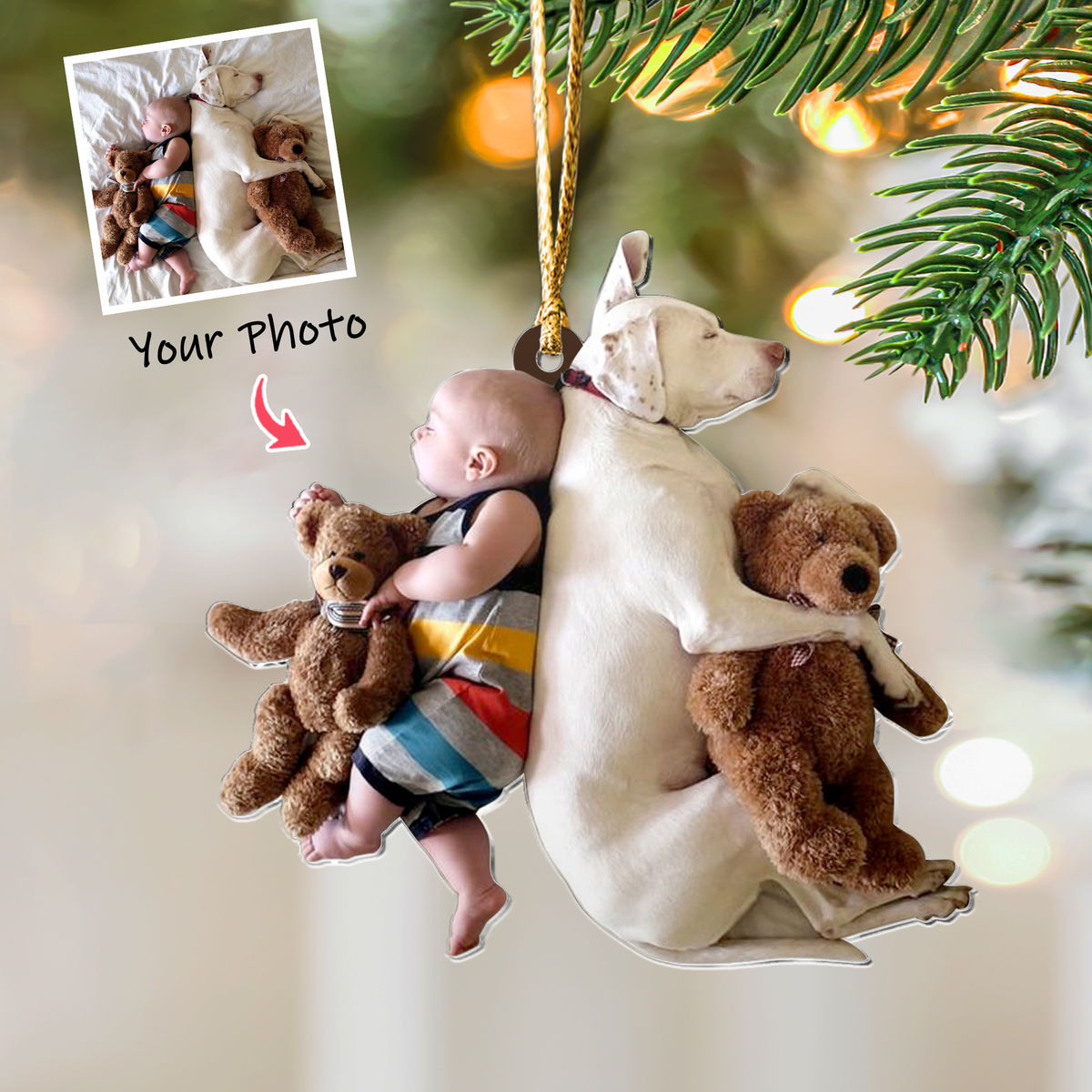 Photo Background Removal - Custom Ornament from Photo - Pet and Baby Ornament from Photo - T2_4