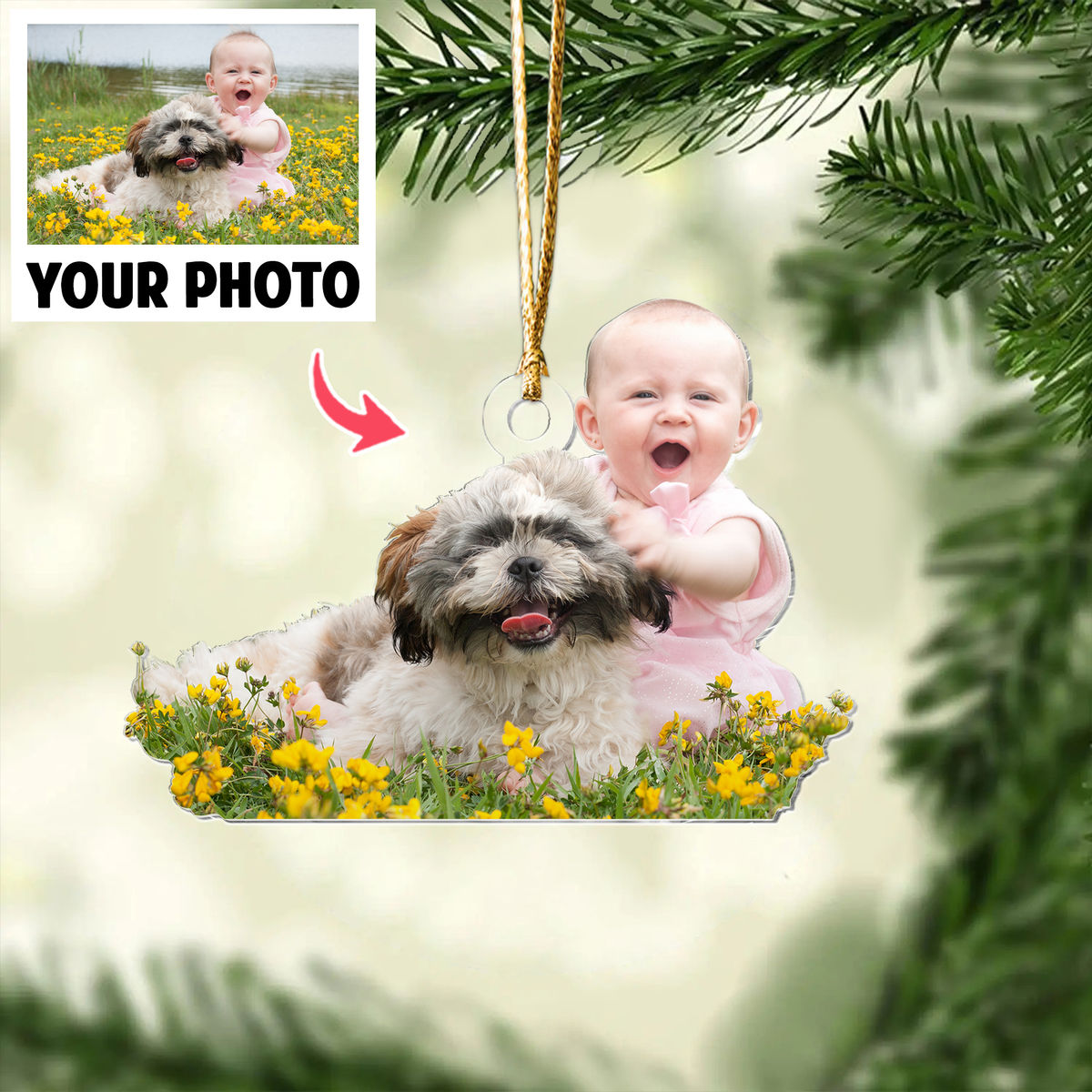 Photo Background Removal - Custom Ornament from Photo - Pet and Baby Ornament from Photo - T2_1