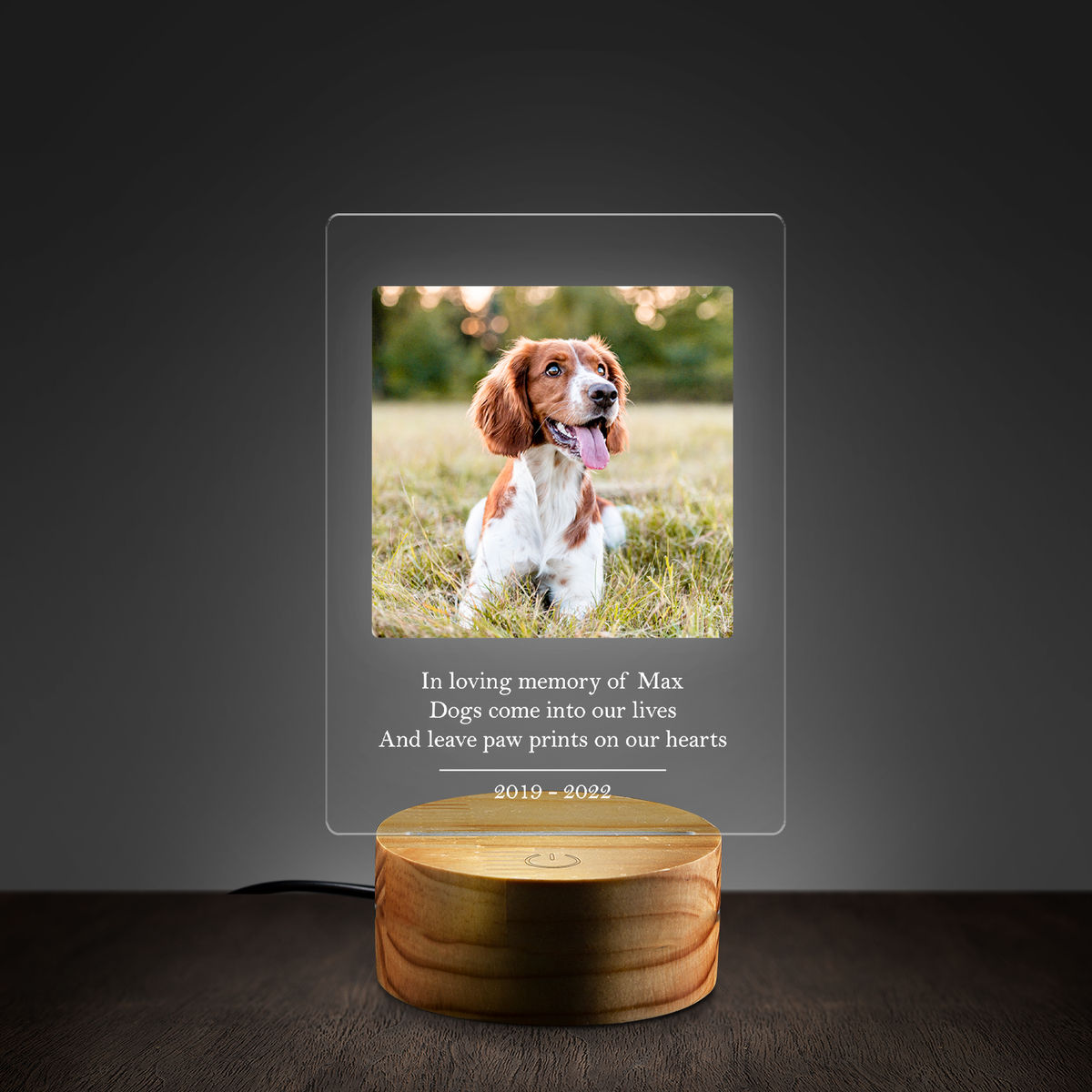 Dog Memorial - Personalized Memorial Dog Passing Night Light Dog Remembrance Gift Dog Lovers Dog Memorial Night Light