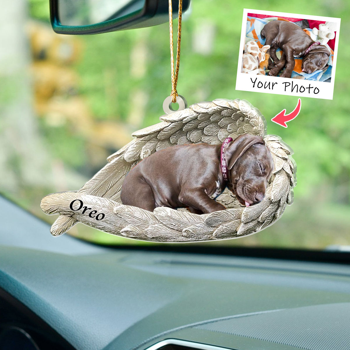 Dog Gifts To Spoil Your Pet: The 38 Best Christmas Gifts For Dogs -  arinsolangeathome