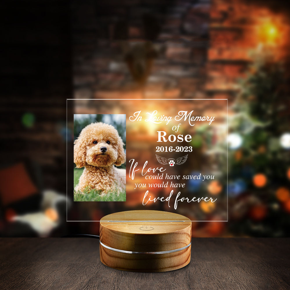 Pet Memorial Gift Forever Loved Memorial Pet Night Light, Custom Pet