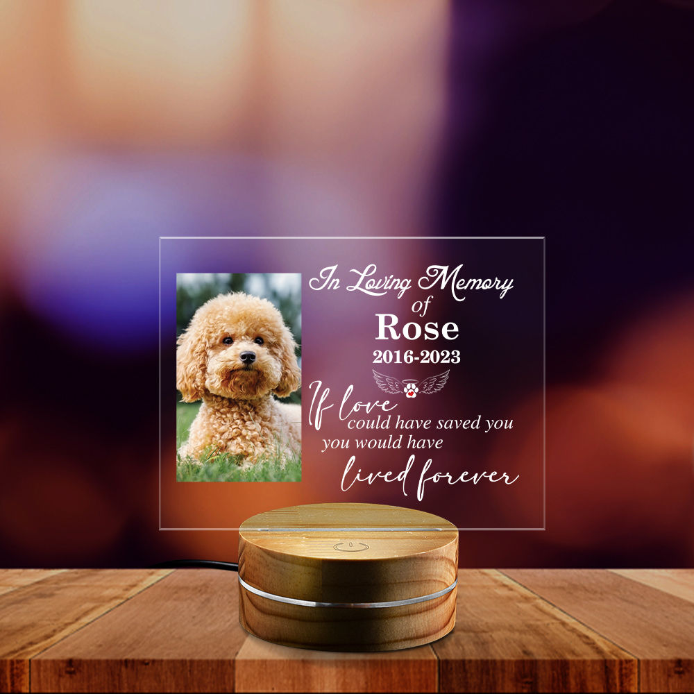 Pet Memorial Gift Forever Loved Memorial Pet Night Light, Custom Pet
