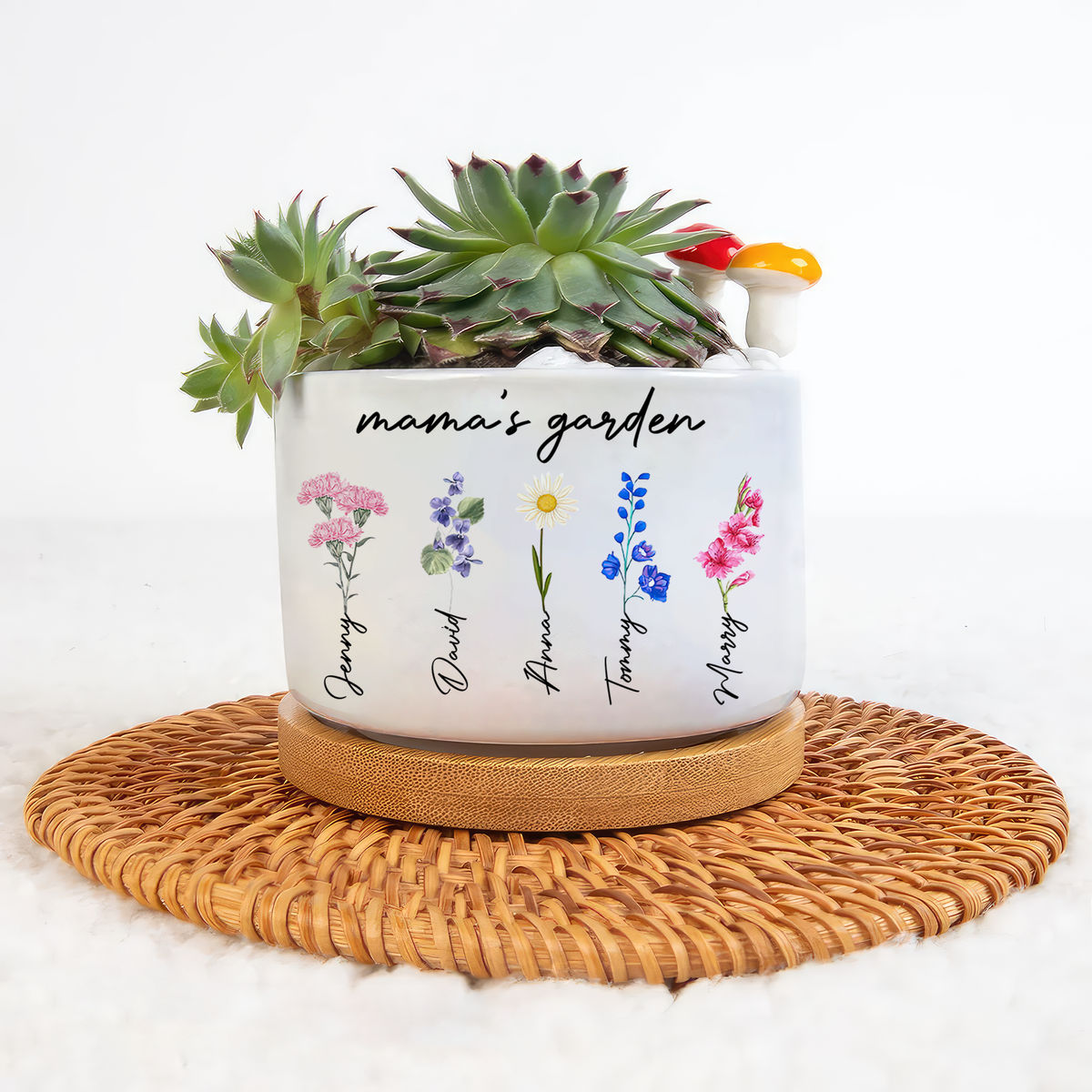 Birthday Gifts Mom - Perfect Mom Birthday Gifts & Mother Birthday Gifts:  Unique Happy Birthday Mom Present, 3 Succulent Pots