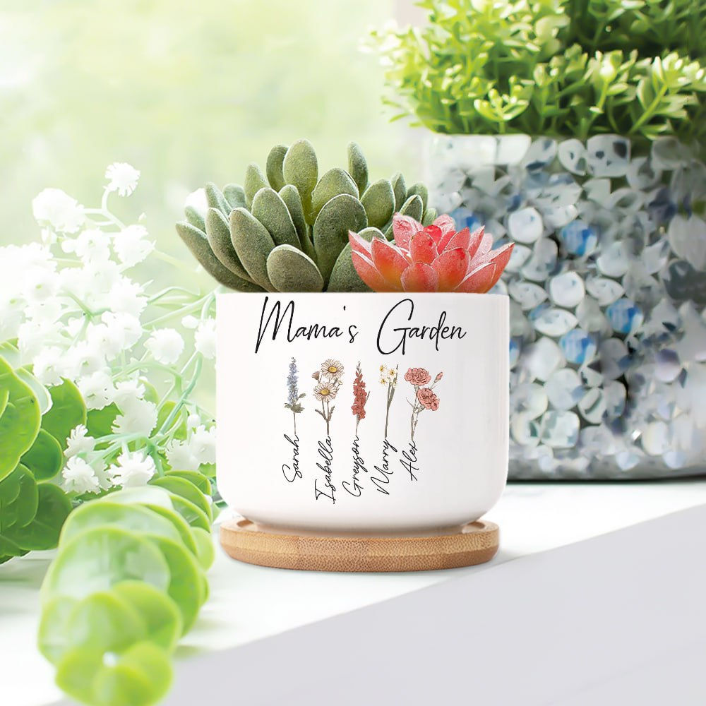 Customized gift small flowers and plants with English name