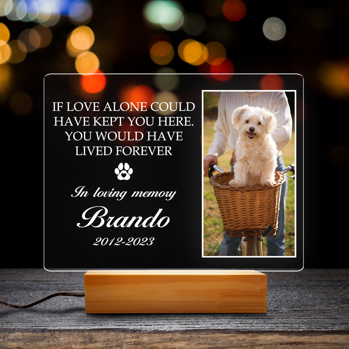 Personalized Memorial Dog Passing Night Light, Pet Remembrance Gift Dog, Cat Lovers, Pet Memorial Night Light 30676