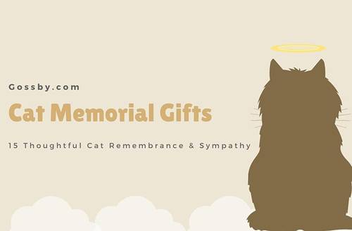 Cat Memorial Gifts: Thoughtful Cat Remembrance & Sympathy