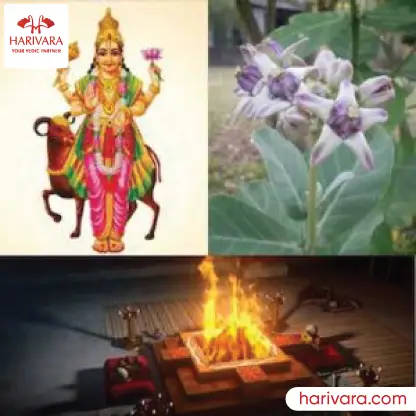 Ark Vivah For Male