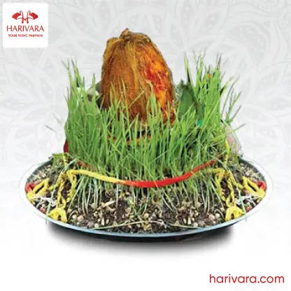 Navratri Kalash Sthapana Puja and Havan