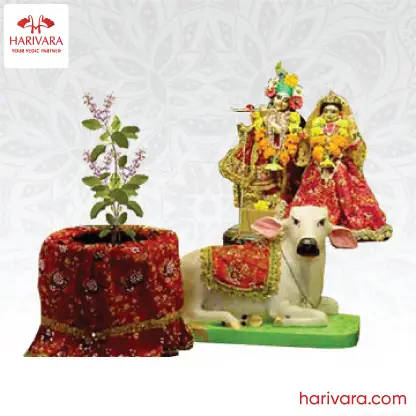 Tulsi Vivah Puja
