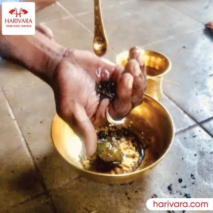 Amavasya Tarpan