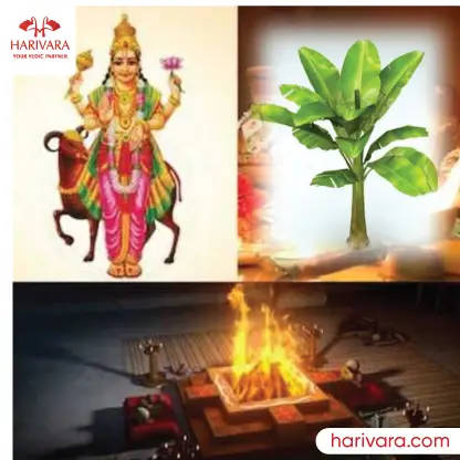 Kadali Vivaha