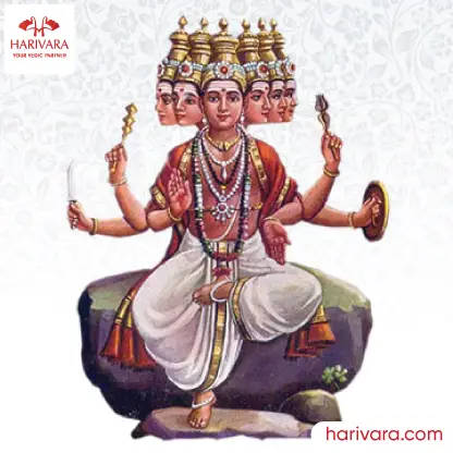 Shatru Samhara Homa