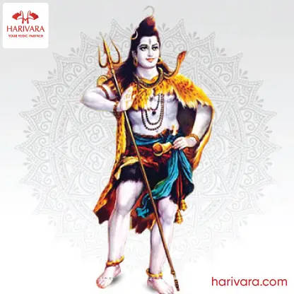 Mrityunjaya Havan