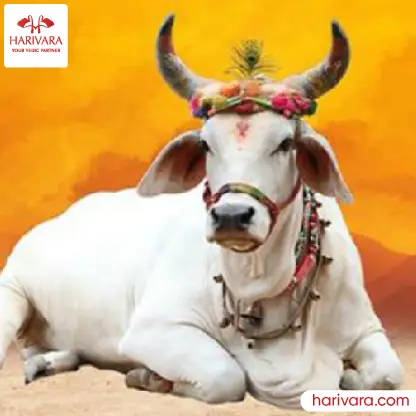 Gho Dhanam