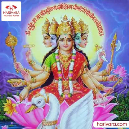 Gayatri Homam (Sukrutha Homam)