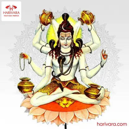Mrityunjaya Homam