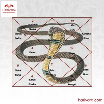 Kaala Sarpa Dosha Nivarthi (Remedy)