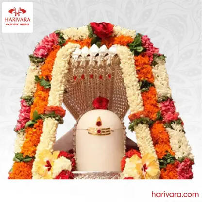 Rudrabhishekam