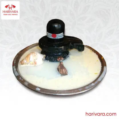 Rudrabhishekam Pooja
