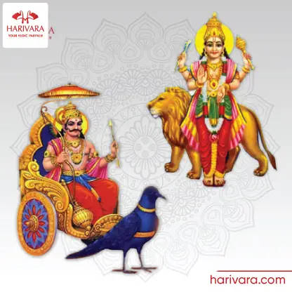 Shani Rahu Shrapit Dosha Nivarana Pooja