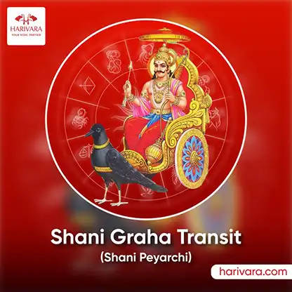 Shani Graha Puja – Transit 2028 ( Shani Peyarchi )