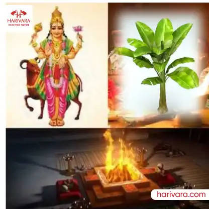 Kadali Vivaha In Srirangapatna