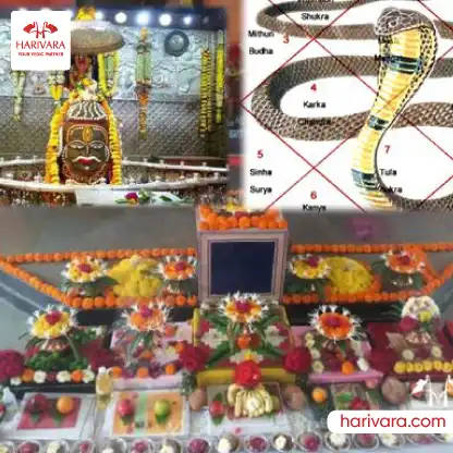 Kaal Sarp Dosh Puja In Ujjain