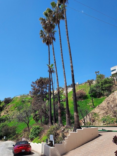 house photo 3