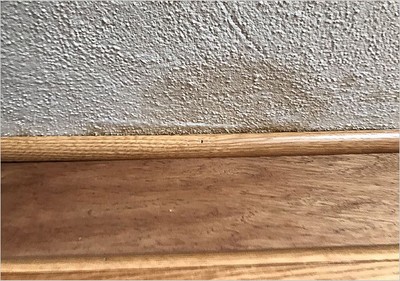 house photo 4