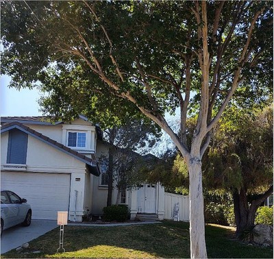 house photo 2