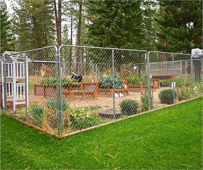 house photo 4