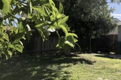 house photo 3