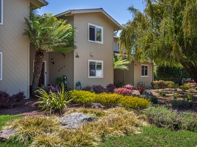 house photo 2