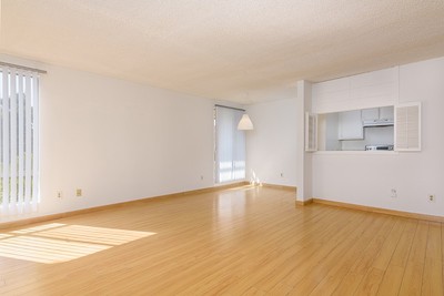 house photo 2
