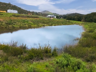 house photo 3
