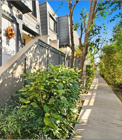 house photo 2