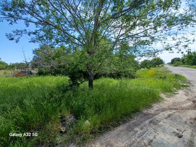 house photo 2