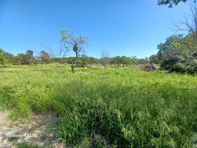 house photo 4