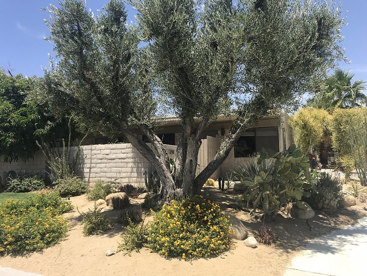 7188 E. Chia Palm Springs, Ca. 92262
