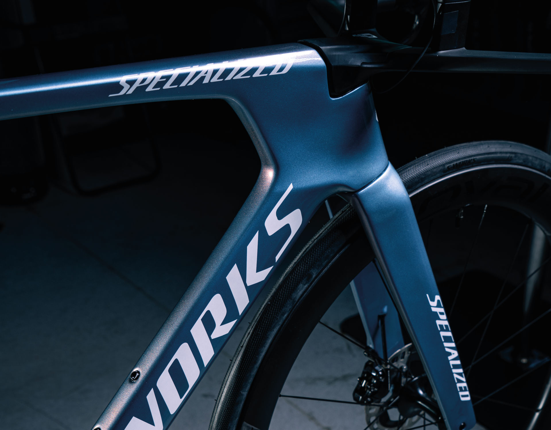 Specialized Luciano Taccone 2