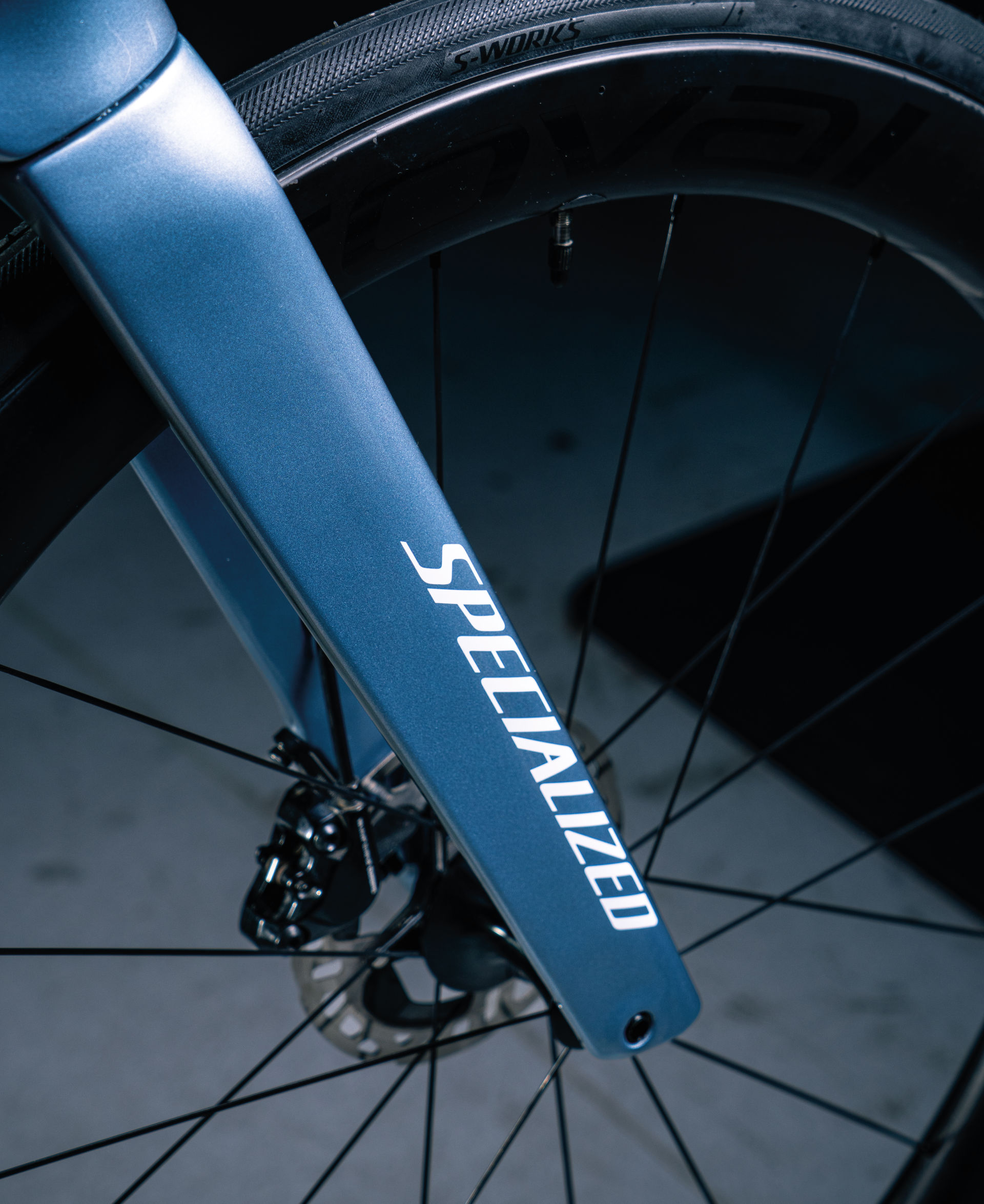 Specialized Luciano Taccone 3