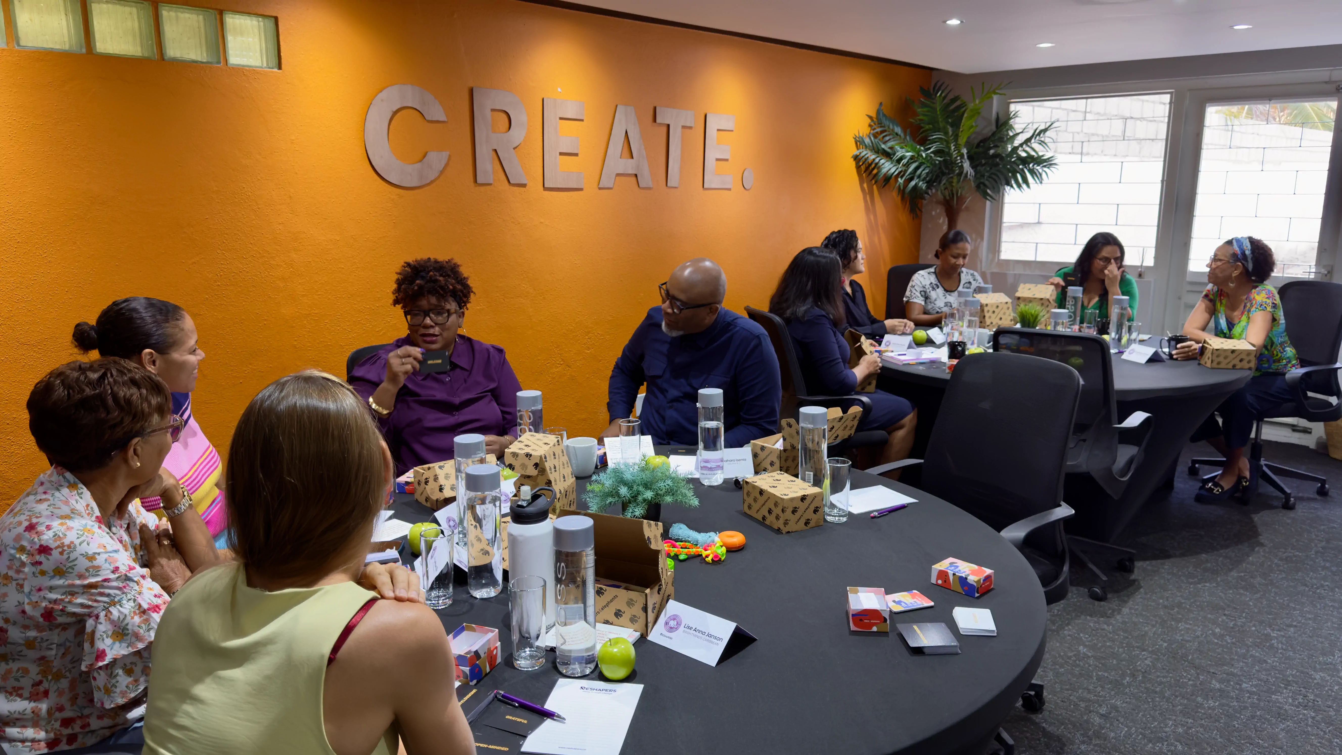 ECD Emotional Change Practitioner Certification