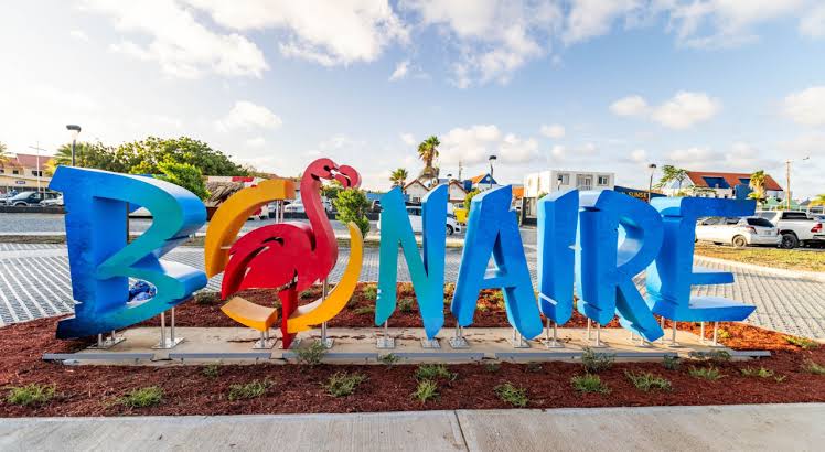 ECD Certification Bonaire — Emotional Leadership + Emotional Change Strategy